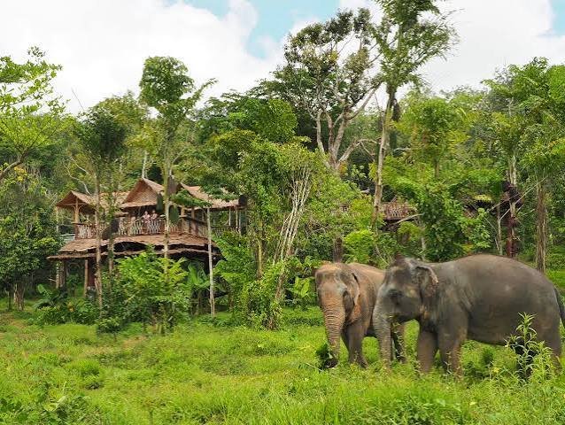 Phuket Elephant Sanctuary, Phuket, Thailand