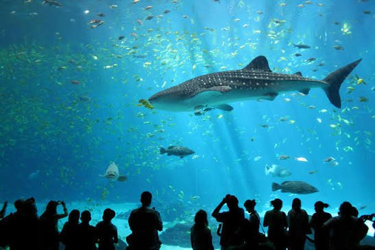 Underwater World Pattaya, Thailand